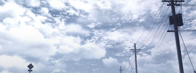 さめさんの壁紙画像