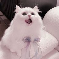 ଘ  (ˆ ̳.  ̫ . ̳ˆ)ଓさんのアイコン画像