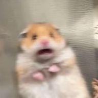 亜土杏奈さんのアイコン画像