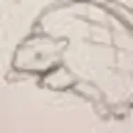 きのこさんのアイコン画像