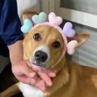 KSNNさんのアイコン画像