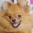 つくね