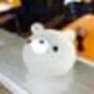 コンクリートさんのアイコン画像