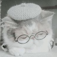 *.꒰ঌ ☽꙳𝕐𝕦𝕚𝕜𝕒⋆ ໒꒱.*さんのアイコン画像