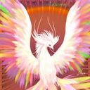 従魔ズ(シン・カイ・ヨウ)