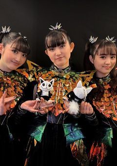 私、成功したオタクです。