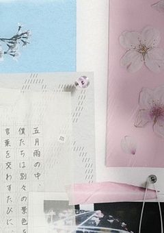 The Four Seasons of Wolves