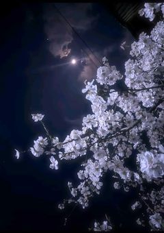 どうか私の手をとって