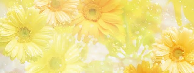 琥珀さんの壁紙画像