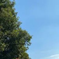 🐸🥔さんのアイコン画像