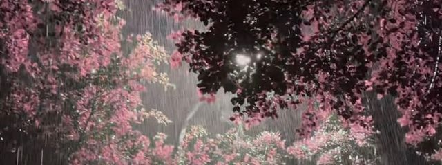 恋夢さんの壁紙画像