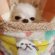 モモ🍑さんのアイコン画像