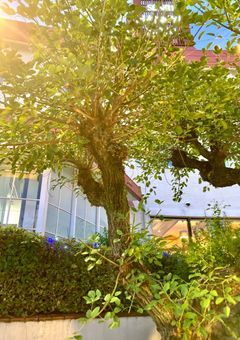 関係者ぼしゅー！