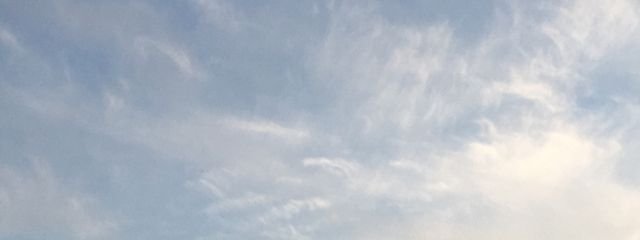 ケニさんの壁紙画像