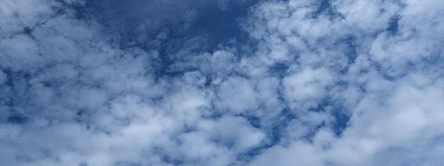 奏音🫠@休止中さんの壁紙画像