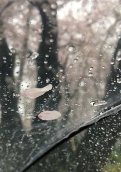 It is likely to rain soon. 