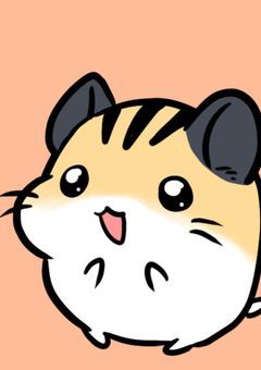 白い帽子🍊