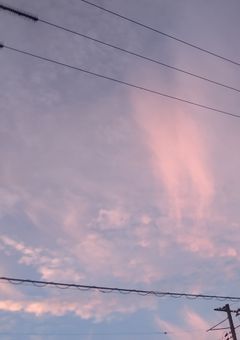 うちのブラコン野郎たちを何とかしてくれ‎( ꒪⌓꒪)