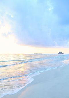 メンズ校2 〜人生最後のアオハルだ〜