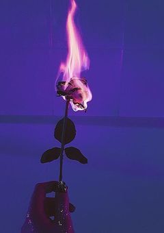 私とあなたたちは吸血鬼