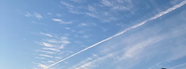 いちごさんの壁紙画像