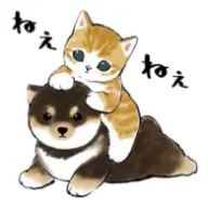 ヲタクさんのアイコン画像