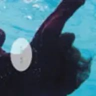 トトロ🔛-KKK-さんのアイコン画像