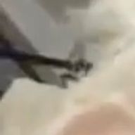 とらんさんのアイコン画像