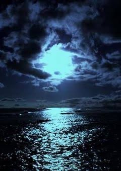 ア ネ モ ネ  。  【 ut 】