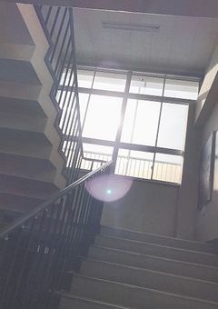 太陽 と 月 は ≒ ？【sha】