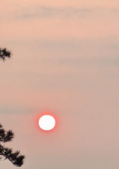 イラストお部屋