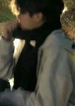 九尾狼 ____
