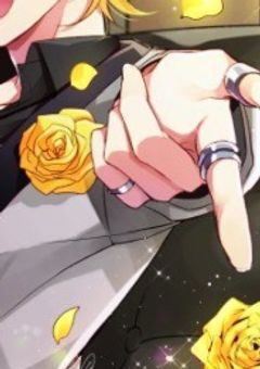 ホスト poyopoyo .