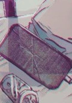 生贄 の はずでした 。