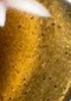 なりちゃ せんよ~べや.ᐟ.ᐟ