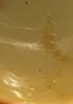 るいねちゃ せんよ~べや.ᐟ.ᐟ