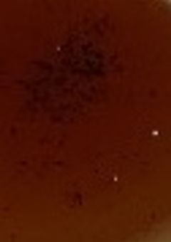 玲奈ちゃせんよ~べや.ᐟ.ᐟ