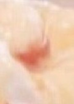 ねむちゃせんよ~.ᐟ.ᐟ