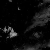 うーたんさんのアイコン画像