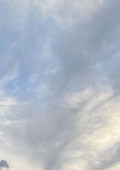 "仮面の下" 教えてください.:＊・゜