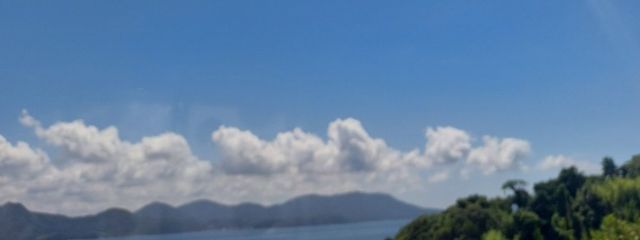 🌿wajiおもち🤞さんの壁紙画像