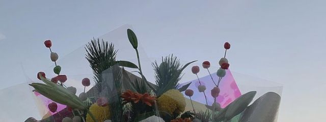 yua.さんの壁紙画像