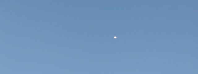 うい🕊🎬さんの壁紙画像