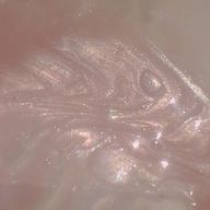 ﾑさんのアイコン画像