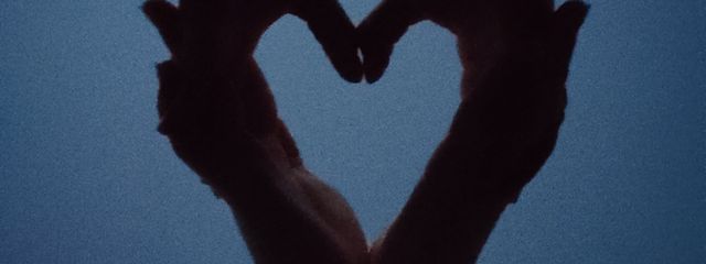 入野の前歯さんの壁紙画像