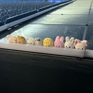 入野の前歯さんのアイコン画像