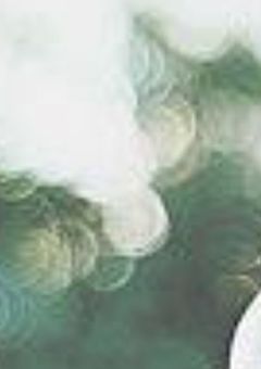 # 黒尾 の 姉 、 大人感 半端ないです 。