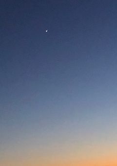 文武両断ﾁｬﾝ嫌われてもなんともないようで