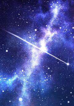 年1更新❄️さん版