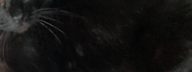 桜@あたしの名前は不定期です♡さんの壁紙画像